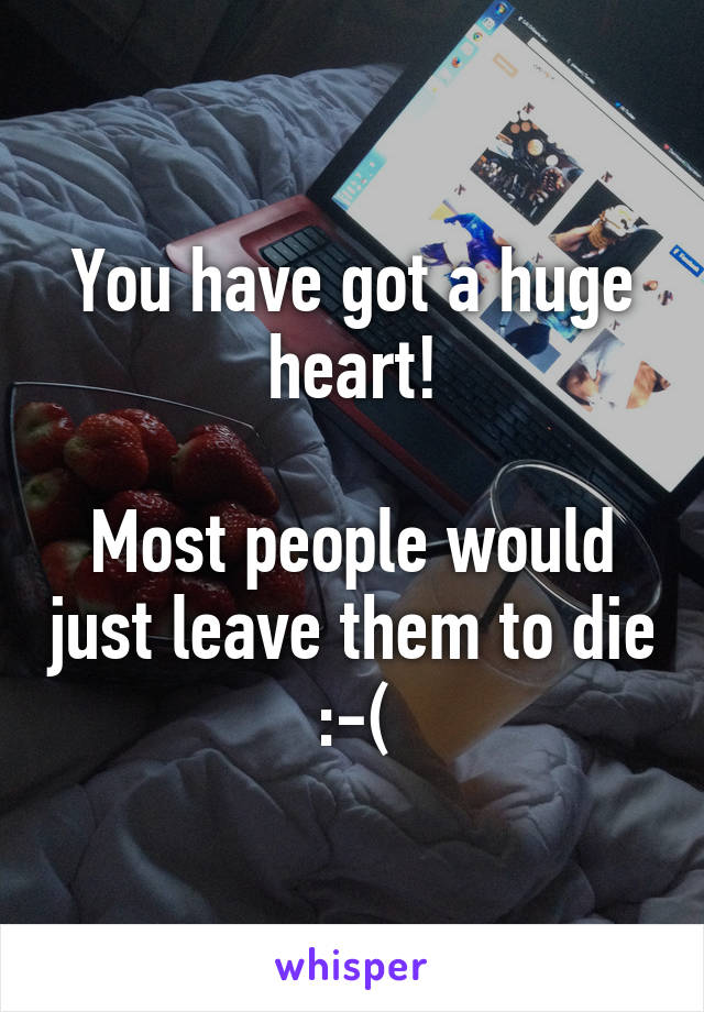 You have got a huge heart!

Most people would just leave them to die :-(