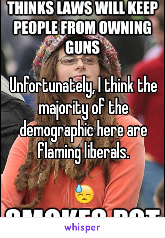 Unfortunately, I think the majority of the demographic here are flaming liberals.

😓