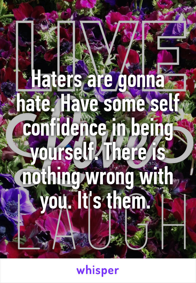 Haters are gonna hate. Have some self confidence in being yourself. There is nothing wrong with you. It's them. 