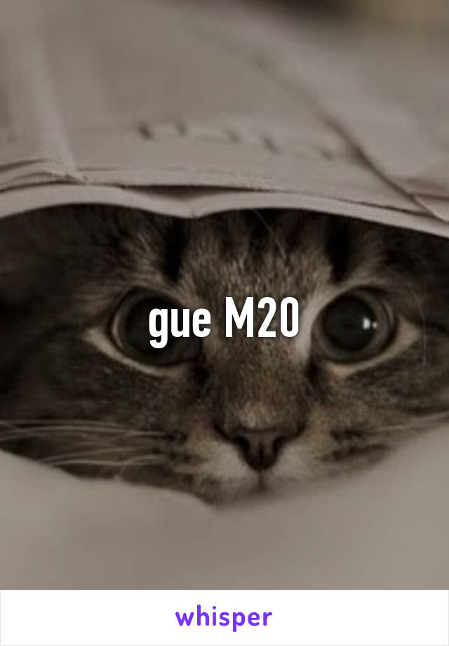 gue M20