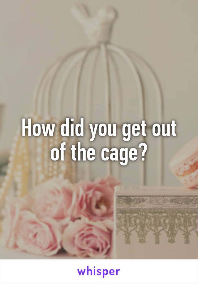 How did you get out of the cage?