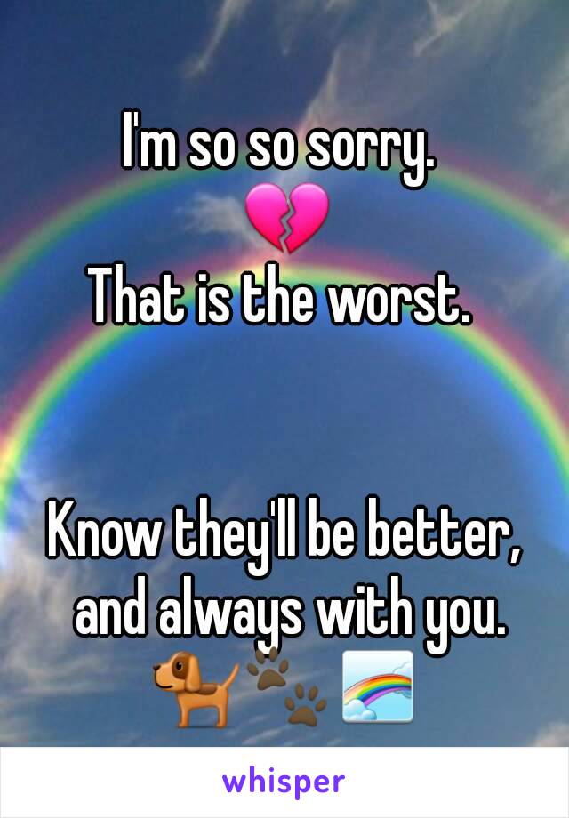 I'm so so sorry. 
💔
That is the worst. 


Know they'll be better, and always with you.
🐕🐾🌈
