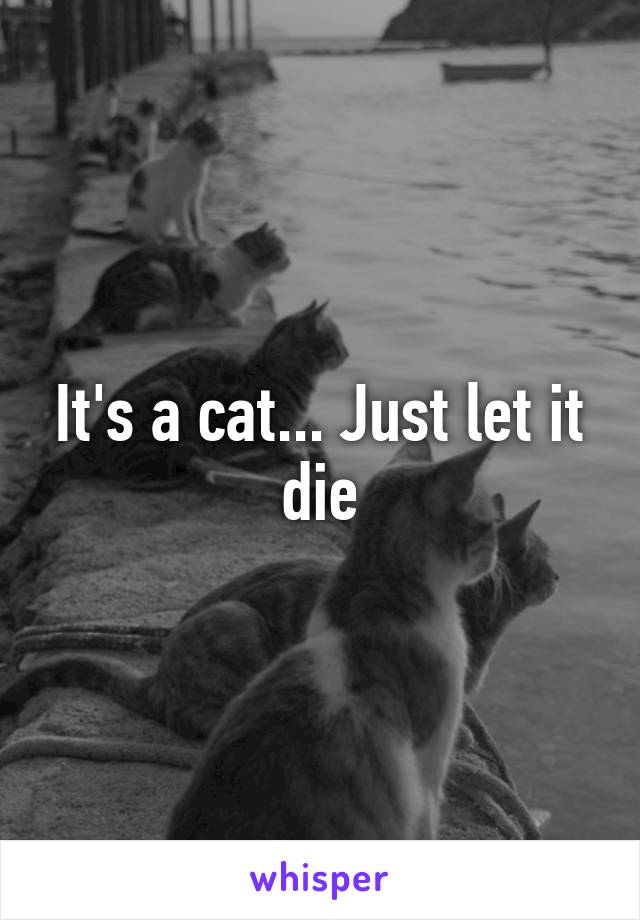 It's a cat... Just let it die