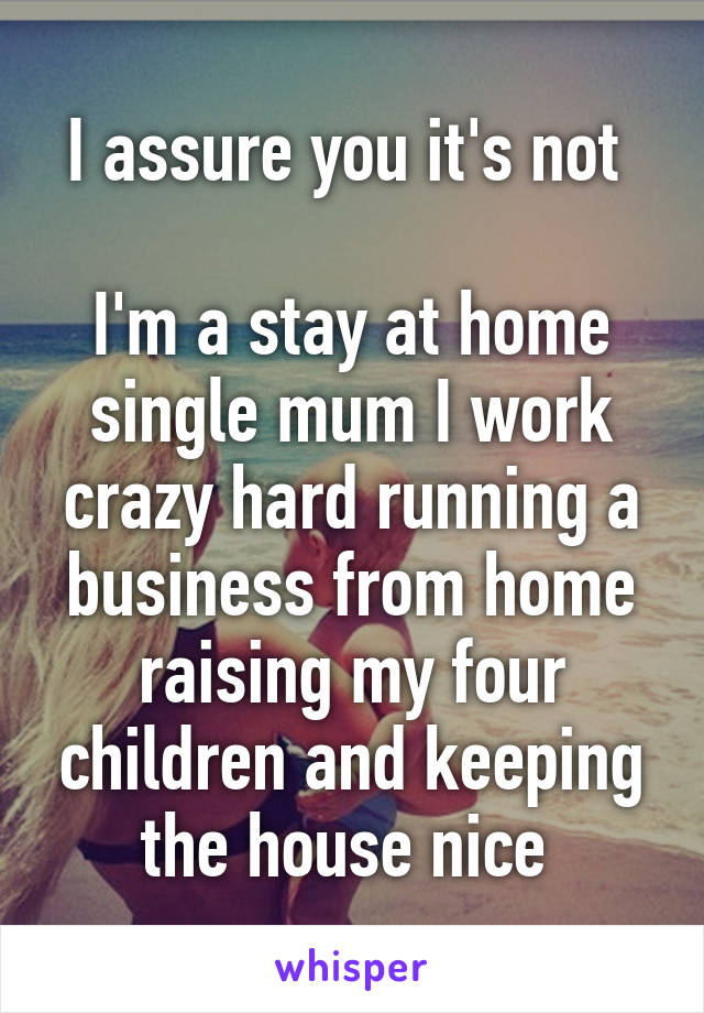 I assure you it's not 

I'm a stay at home single mum I work crazy hard running a business from home raising my four children and keeping the house nice 