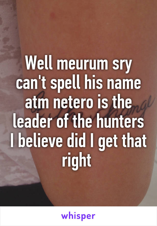 Well meurum sry can't spell his name atm netero is the leader of the hunters I believe did I get that right 