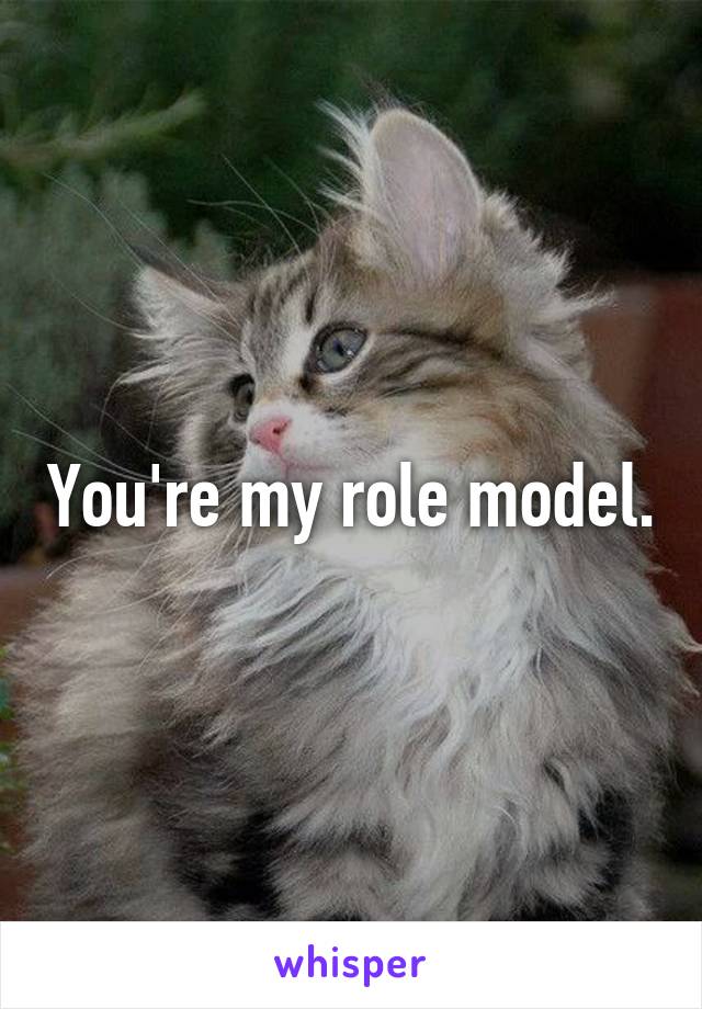 You're my role model.