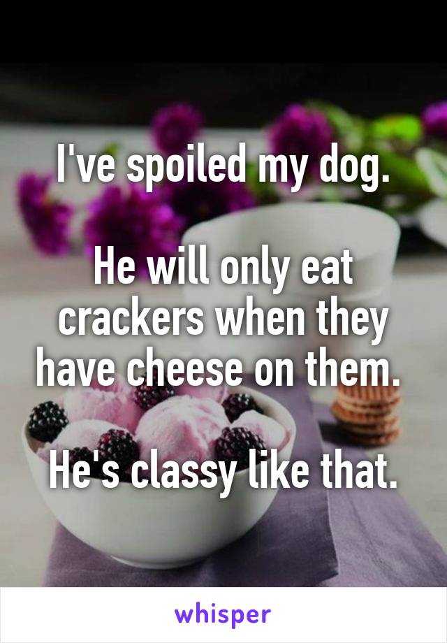 I've spoiled my dog.

He will only eat crackers when they have cheese on them. 

He's classy like that.