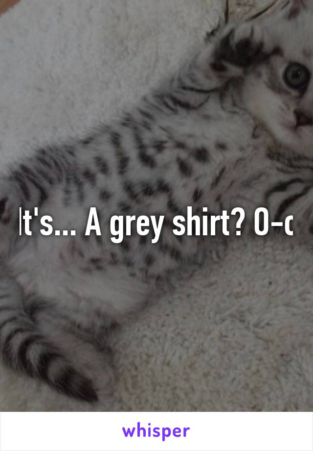It's... A grey shirt? O-o