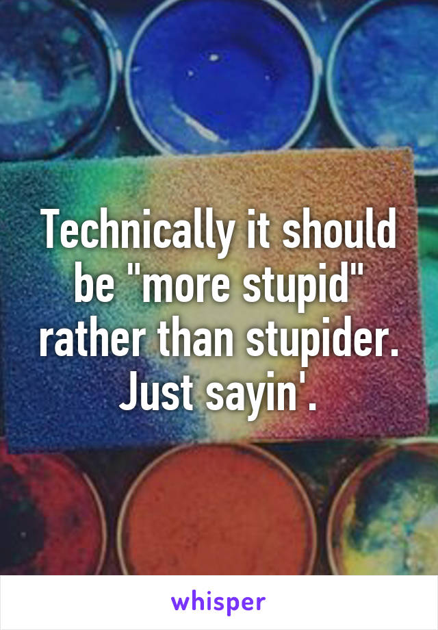 Technically it should be "more stupid" rather than stupider. Just sayin'.