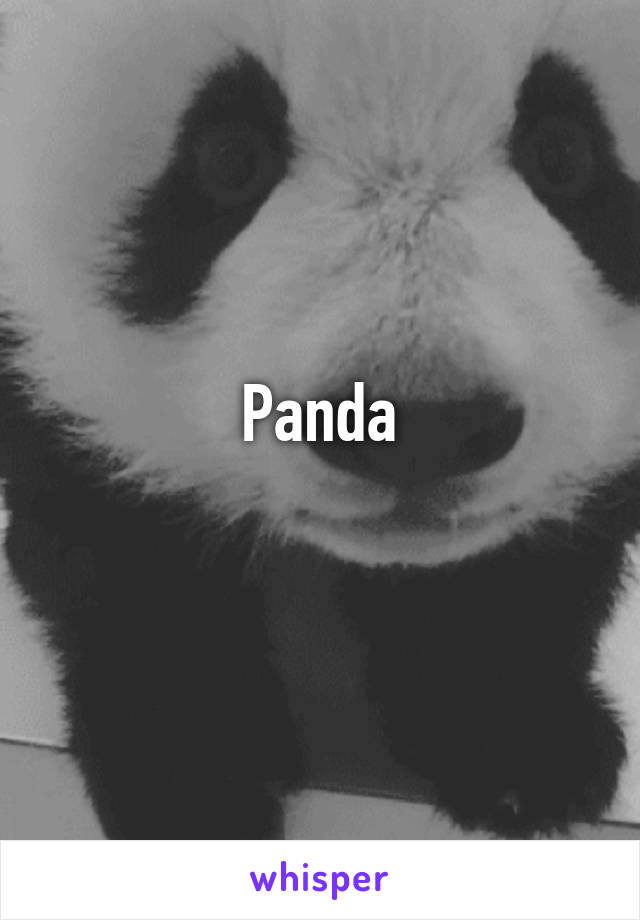 Panda
