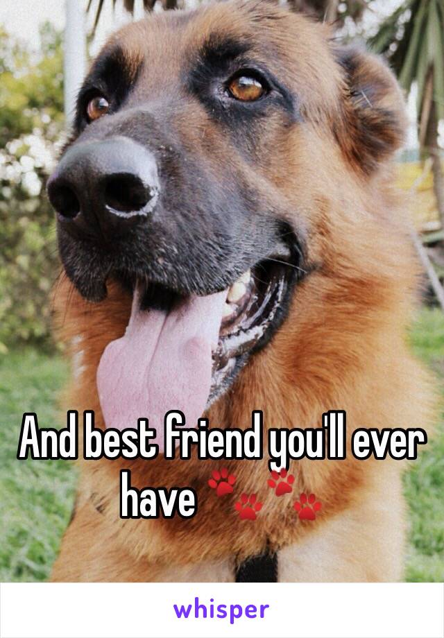 And best friend you'll ever have 🐾🐾