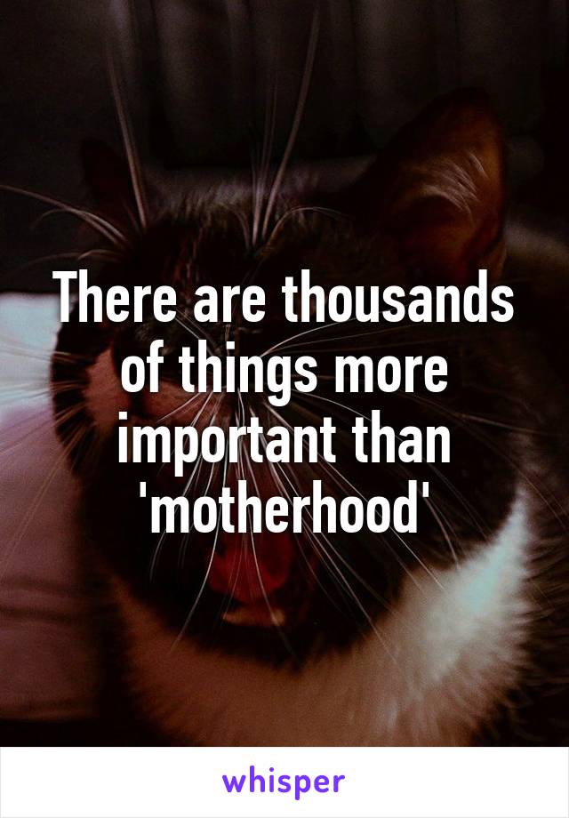 There are thousands of things more important than 'motherhood'