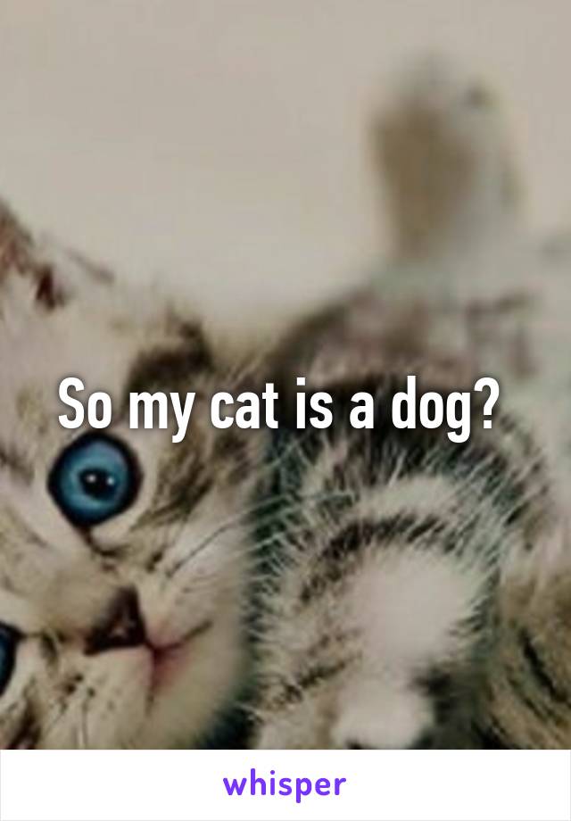 So my cat is a dog? 