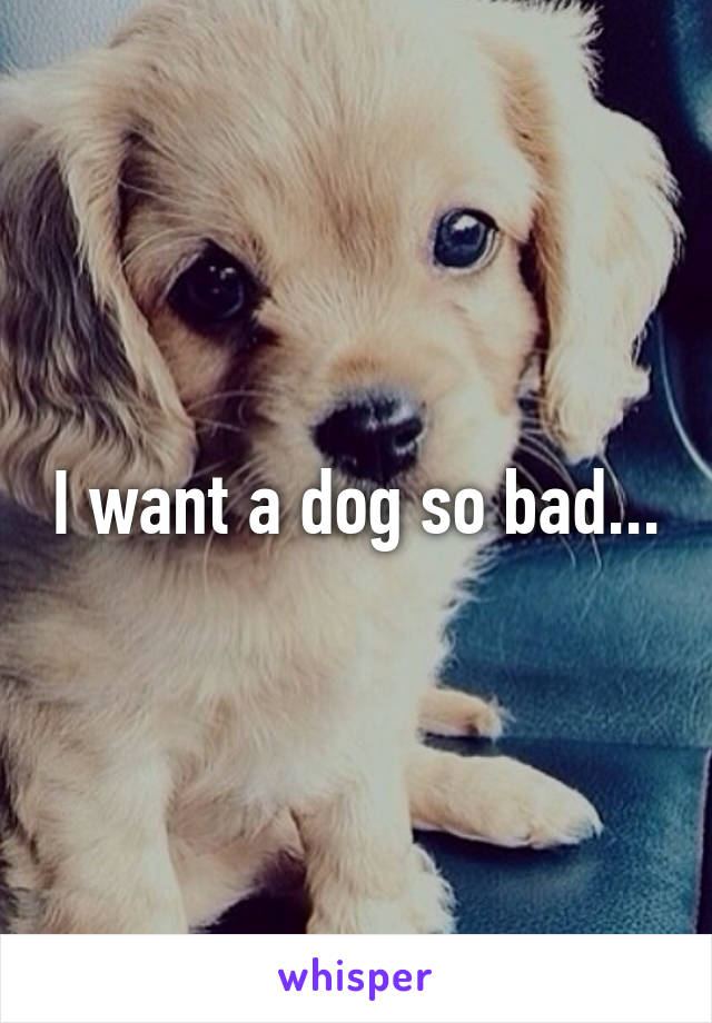 I want a dog so bad...