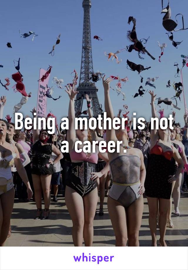 Being a mother is not a career.