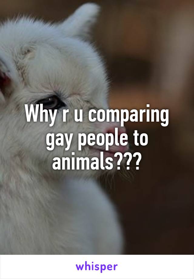 Why r u comparing gay people to animals???