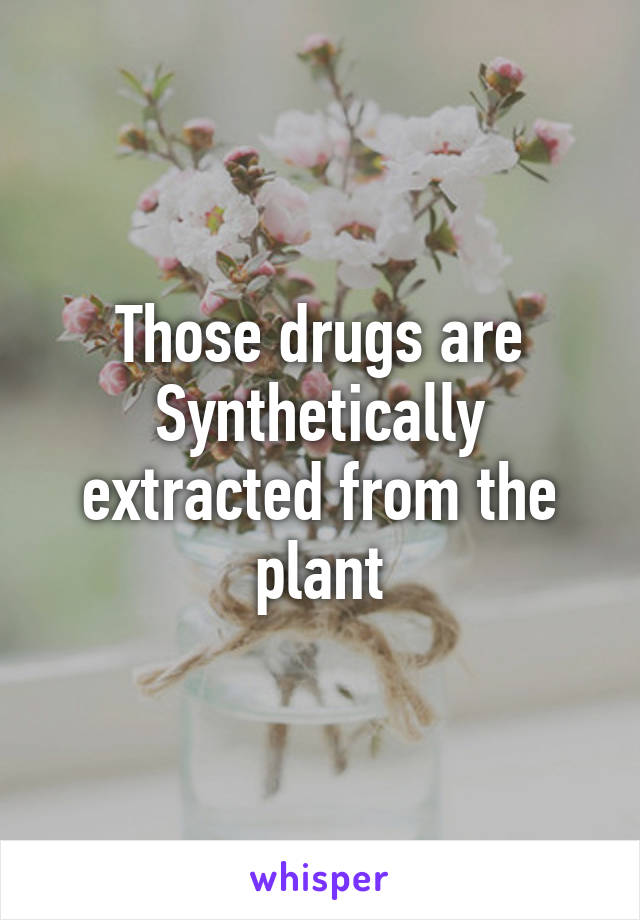 Those drugs are Synthetically extracted from the plant