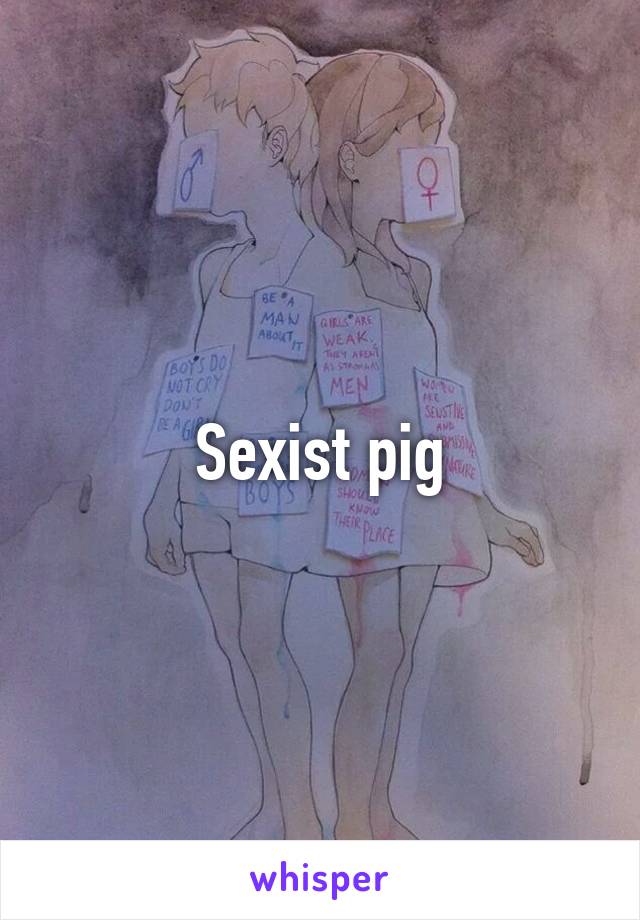 Sexist pig