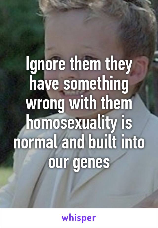 Ignore them they have something wrong with them homosexuality is normal and built into our genes