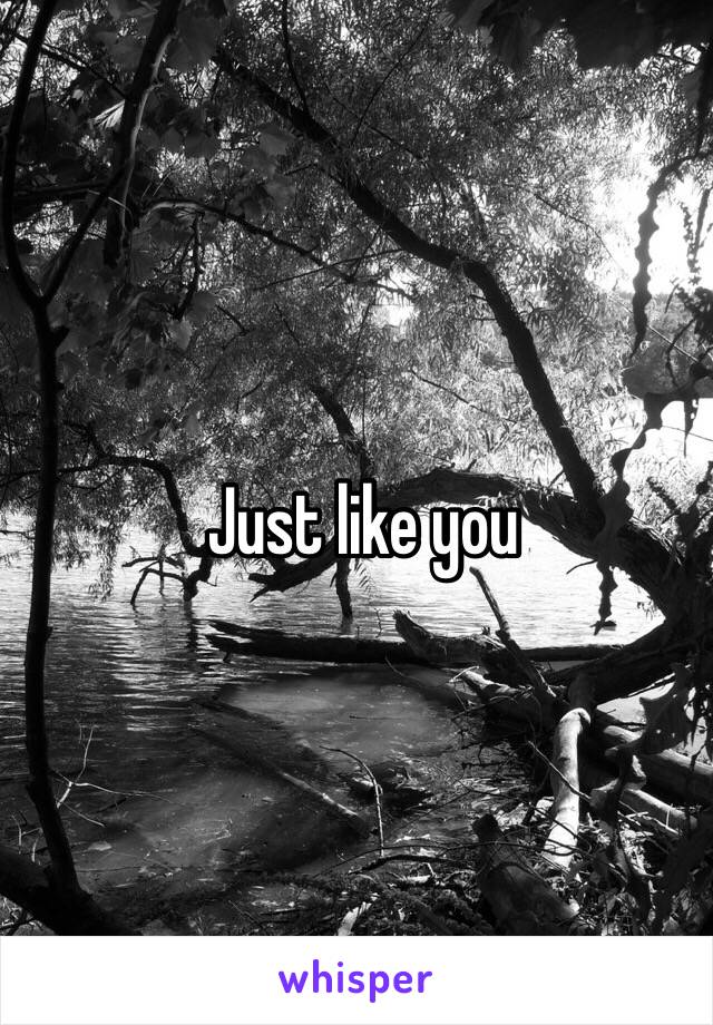 Just like you
