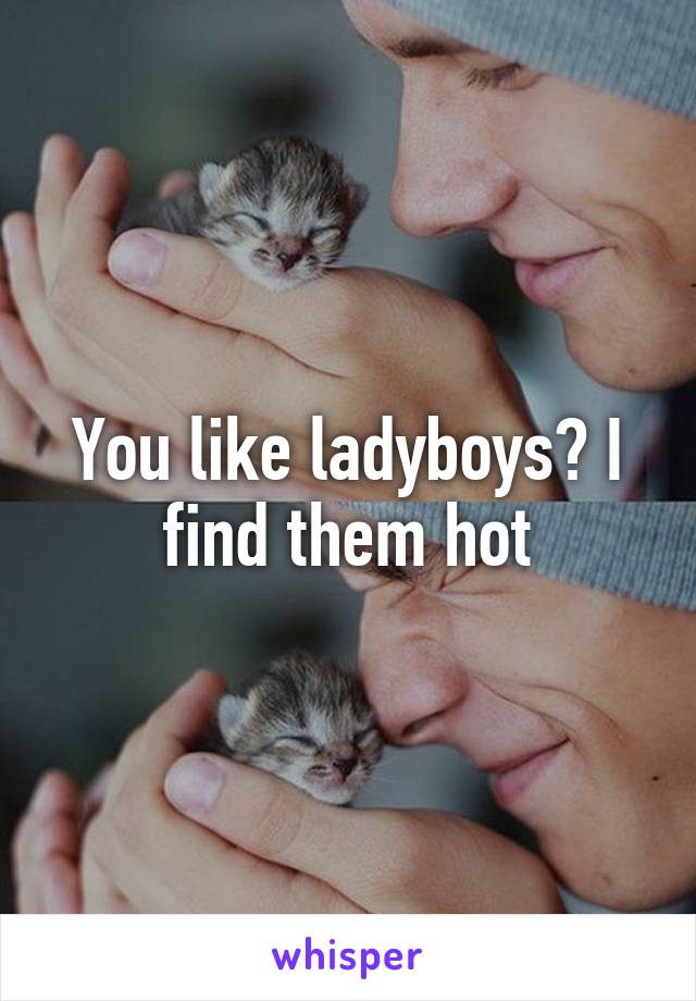 You like ladyboys? I find them hot