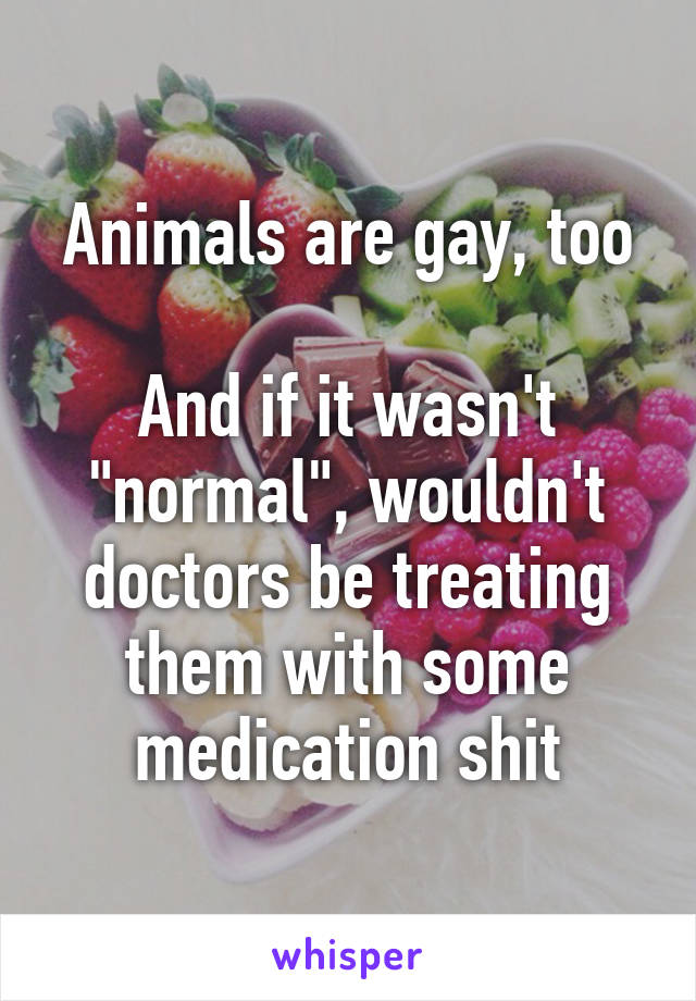 Animals are gay, too

And if it wasn't "normal", wouldn't doctors be treating them with some medication shit