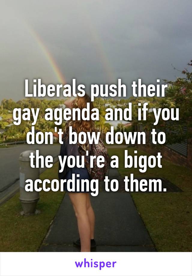 Liberals push their gay agenda and if you don't bow down to the you're a bigot according to them.