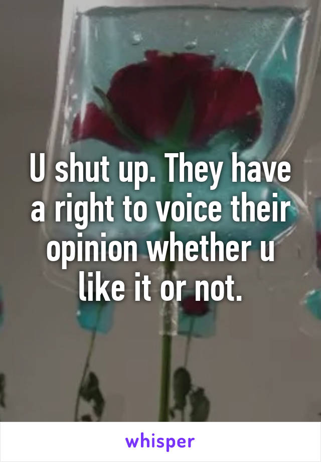 U shut up. They have a right to voice their opinion whether u like it or not.