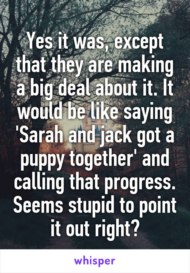 Yes it was, except that they are making a big deal about it. It would be like saying 'Sarah and jack got a puppy together' and calling that progress. Seems stupid to point it out right?