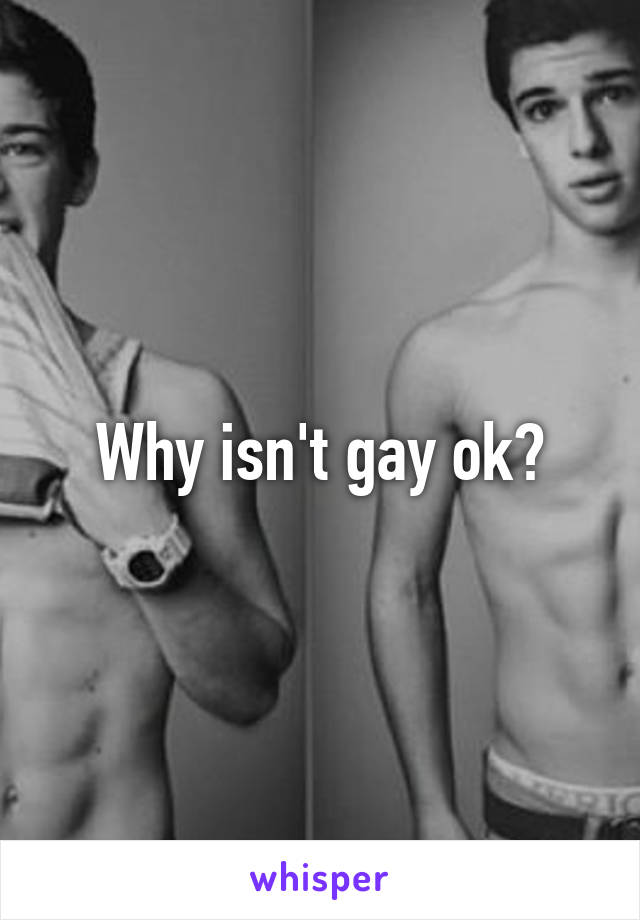 Why isn't gay ok?