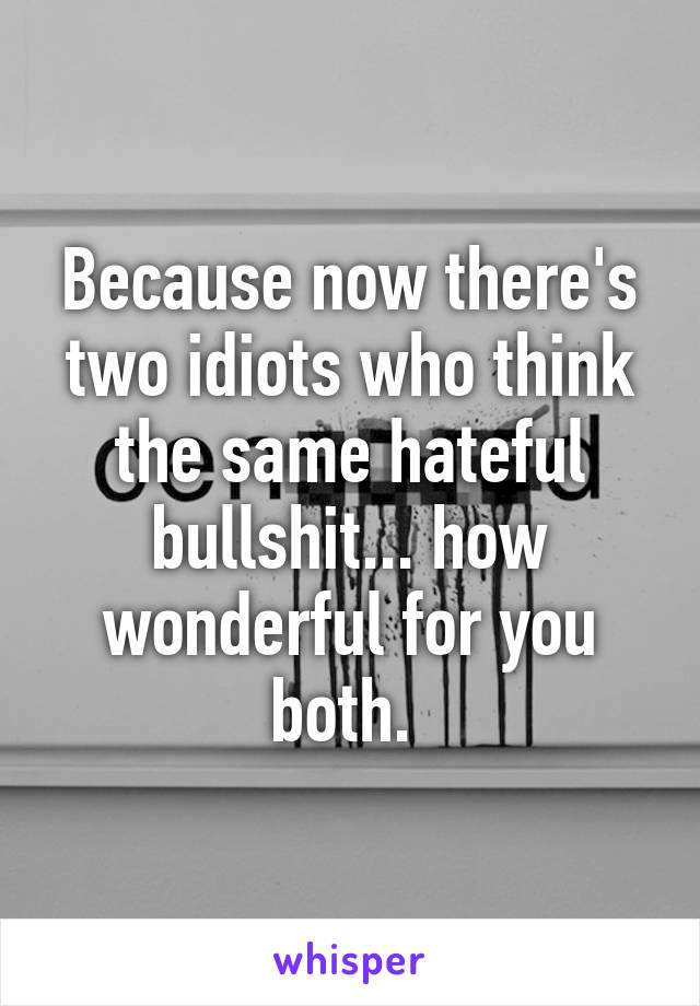 Because now there's two idiots who think the same hateful bullshit... how wonderful for you both. 