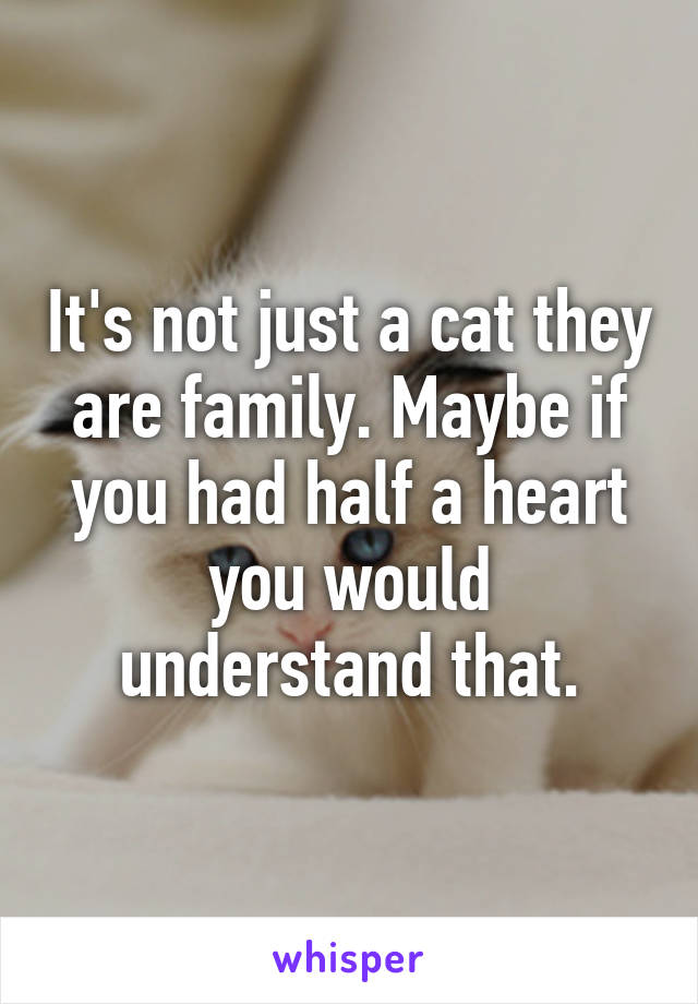 It's not just a cat they are family. Maybe if you had half a heart you would understand that.