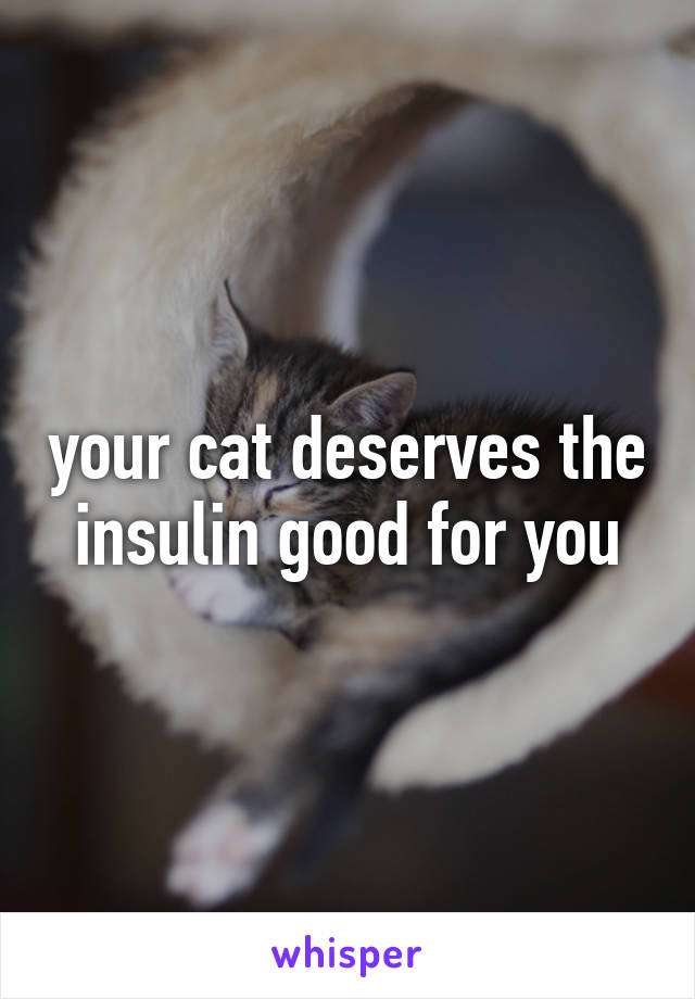 your cat deserves the insulin good for you