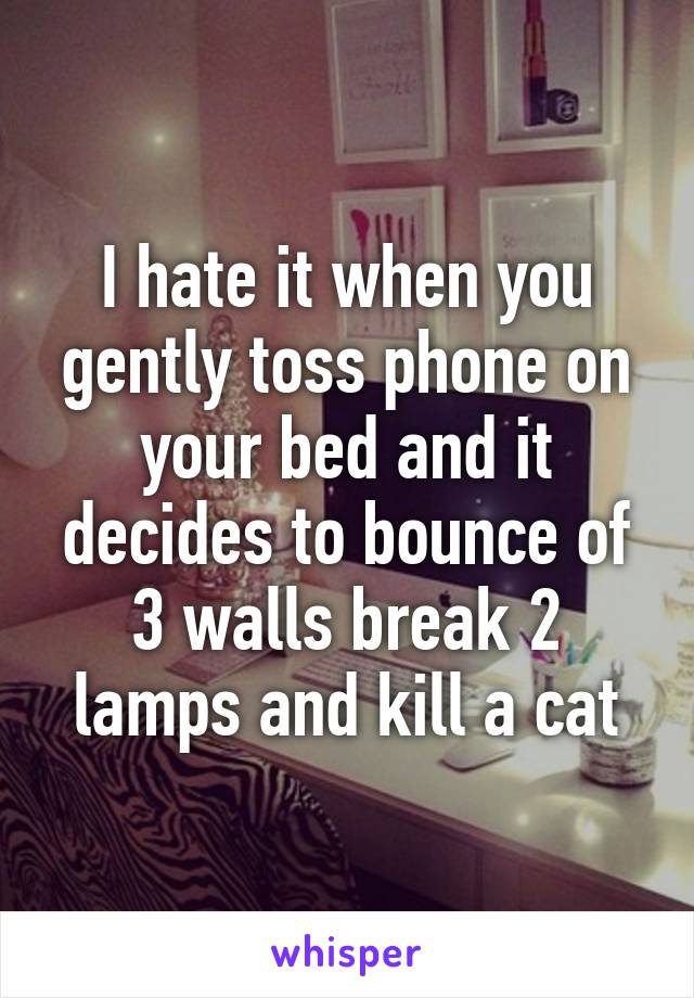 I hate it when you gently toss phone on your bed and it decides to bounce of 3 walls break 2 lamps and kill a cat