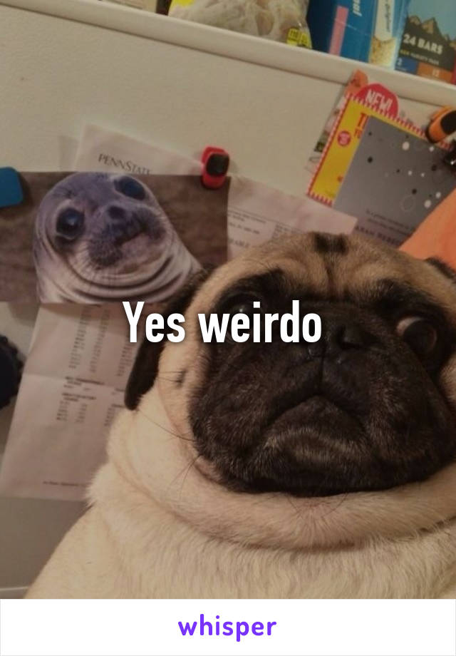 Yes weirdo 