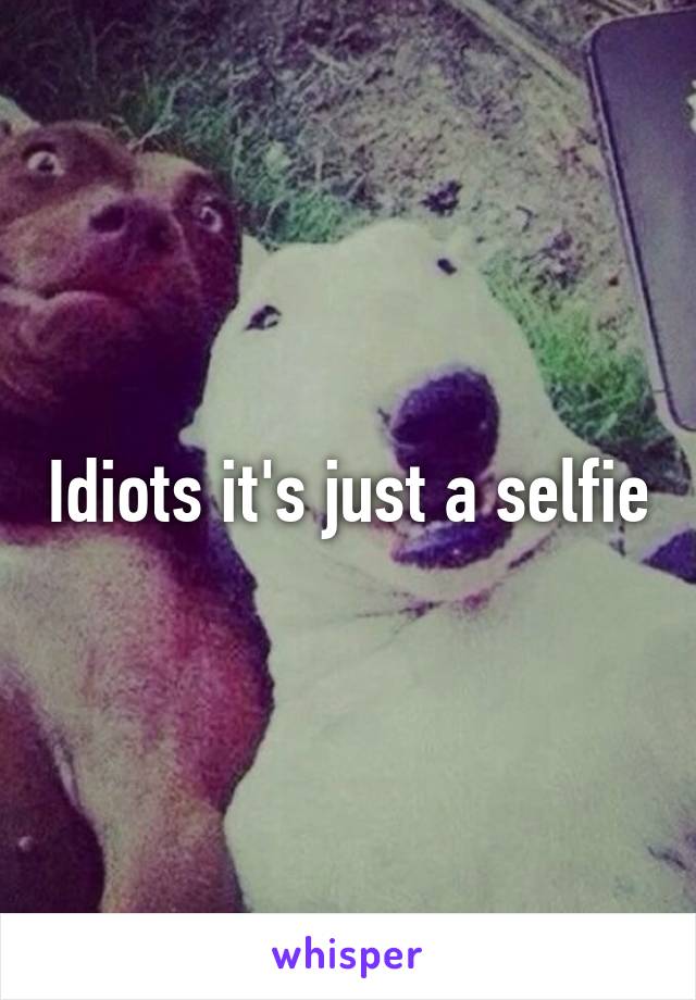 Idiots it's just a selfie