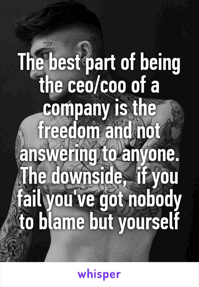 The best part of being the ceo/coo of a company is the freedom and not answering to anyone. The downside,  if you fail you've got nobody to blame but yourself