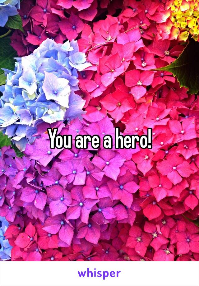 You are a hero!