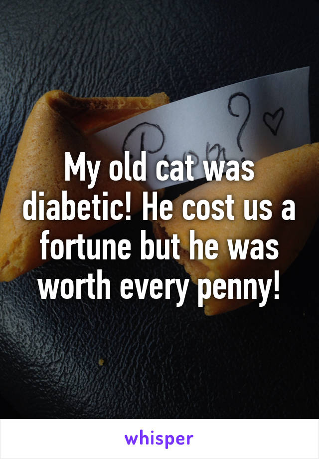 My old cat was diabetic! He cost us a fortune but he was worth every penny!