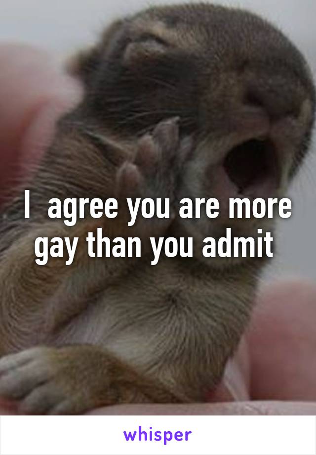 I  agree you are more gay than you admit 