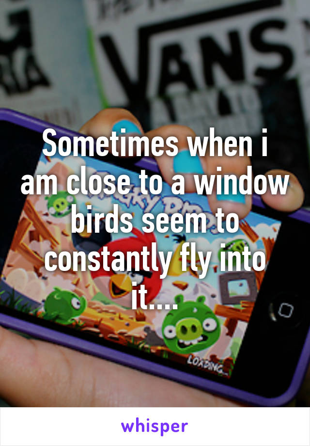 Sometimes when i am close to a window birds seem to constantly fly into it....