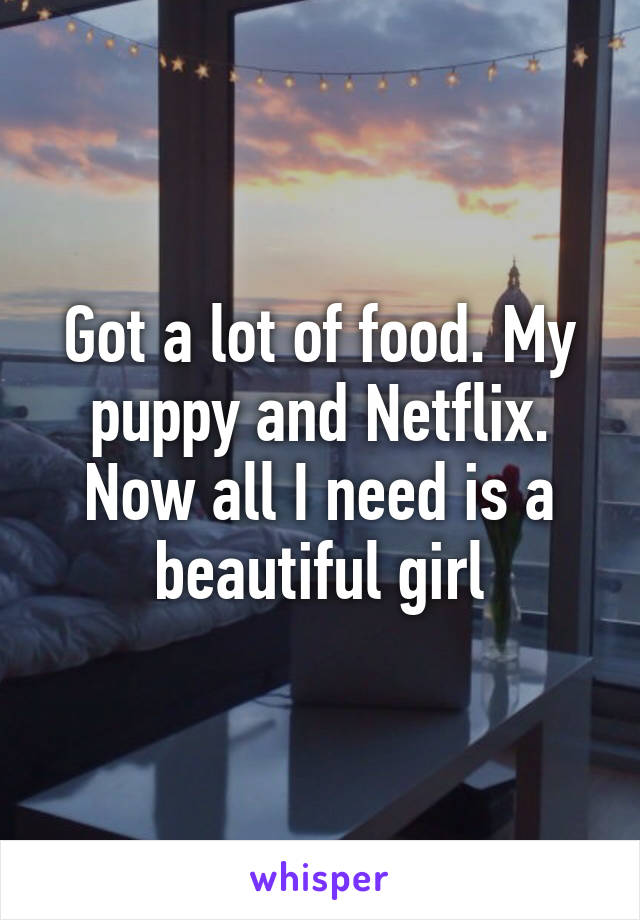 Got a lot of food. My puppy and Netflix. Now all I need is a beautiful girl