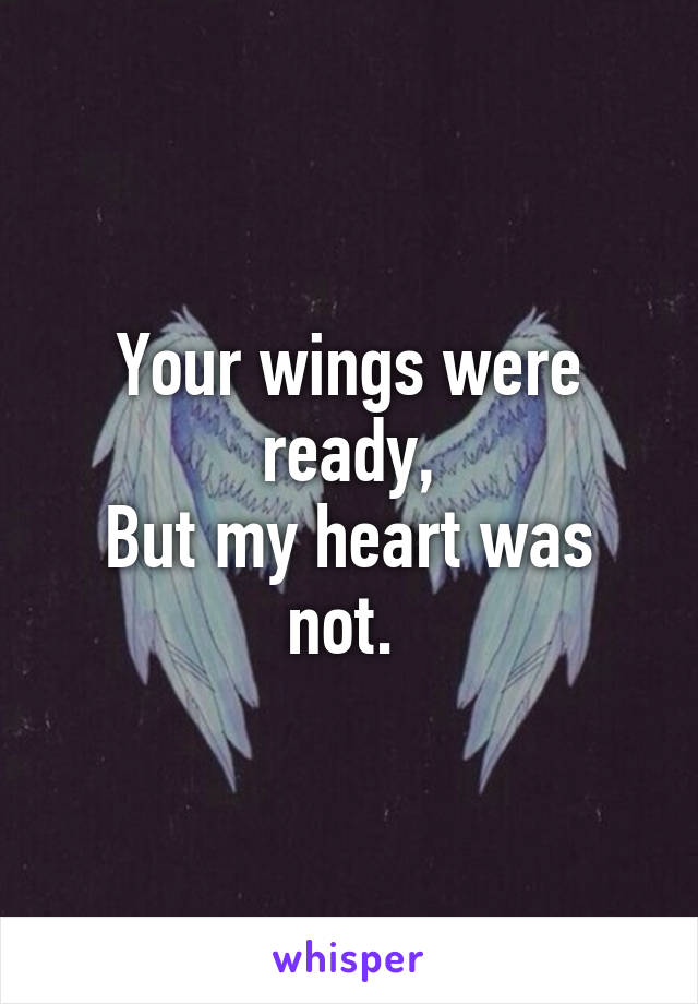 Your wings were ready,
But my heart was not. 