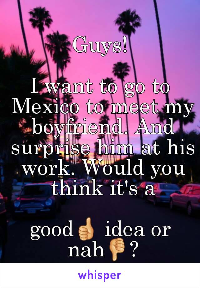 
Guys!

I want to go to Mexico to meet my boyfriend. And surprise him at his work. Would you think it's a

good👍 idea or nah👎?