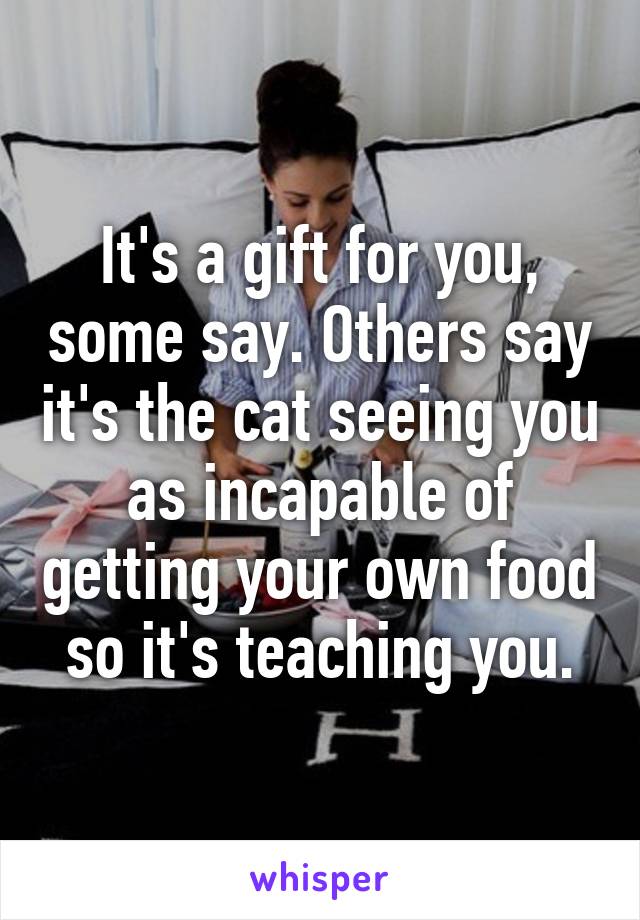It's a gift for you, some say. Others say it's the cat seeing you as incapable of getting your own food so it's teaching you.