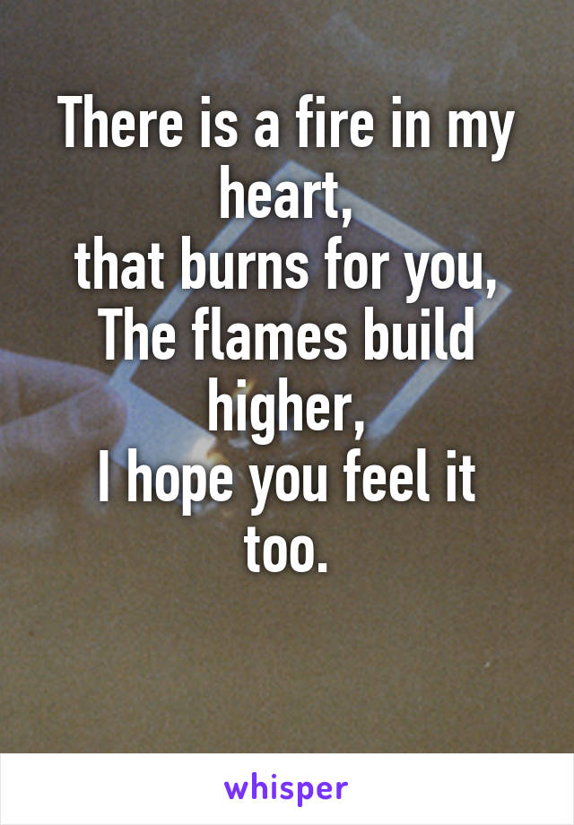 There is a fire in my heart,
that burns for you,
The flames build higher,
I hope you feel it too.

