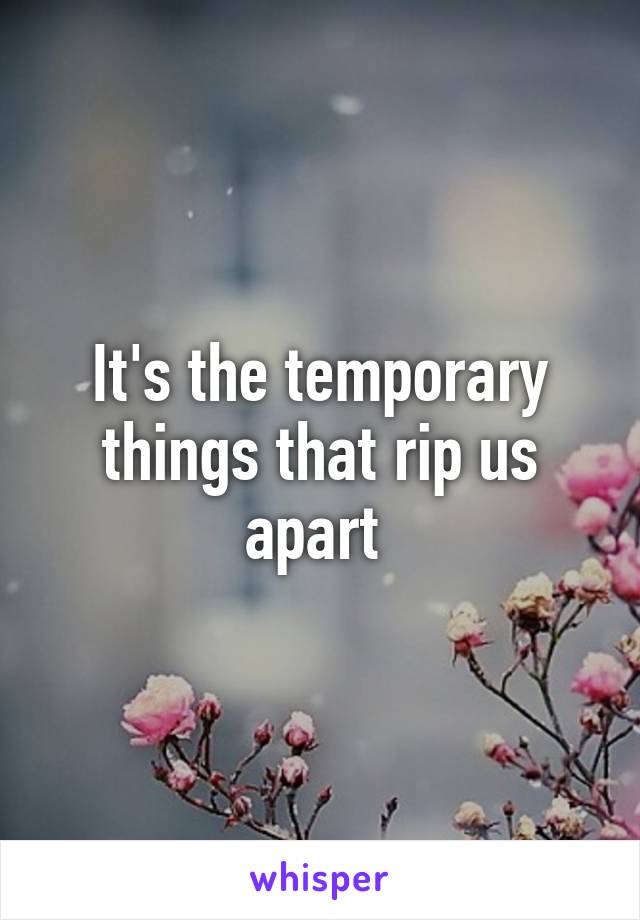 It's the temporary things that rip us apart 