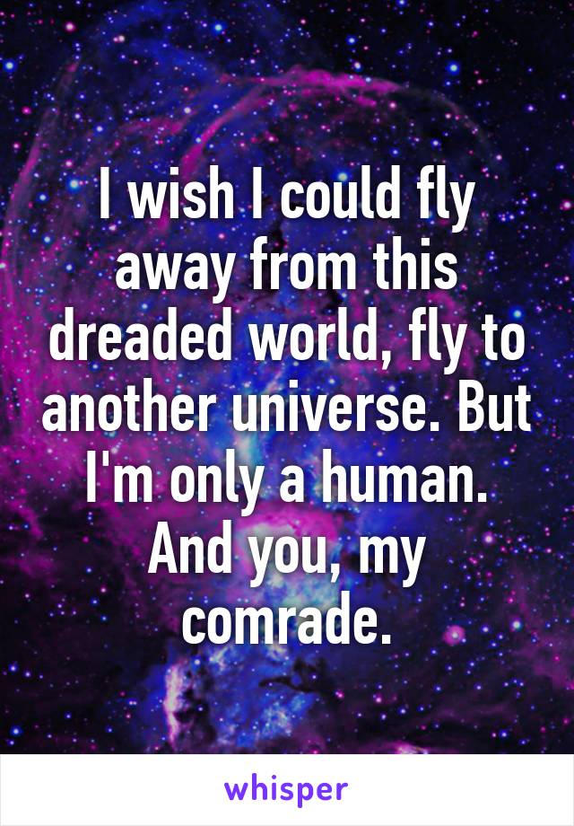 I wish I could fly away from this dreaded world, fly to another universe. But I'm only a human. And you, my comrade.