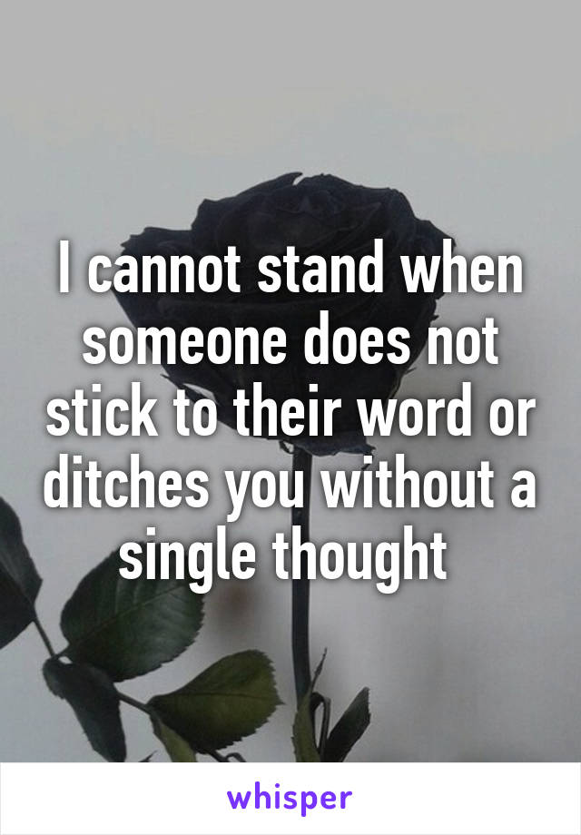 I cannot stand when someone does not stick to their word or ditches you without a single thought 