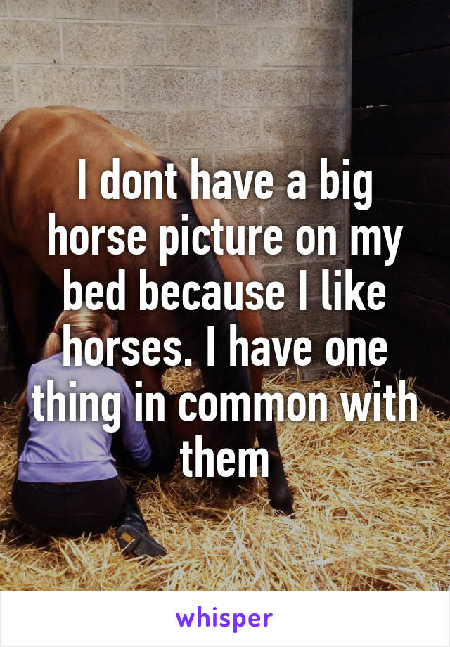 I dont have a big horse picture on my bed because I like horses. I have one thing in common with them